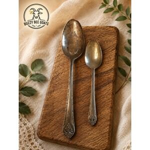 WM A ROGERS ONEIDA LADY STUART SILVERPLATE SERVING SPOONS SET OF 2 VINTAGE